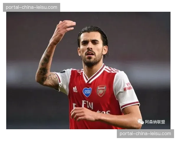 尼斯防守困境：29场失56球，后防线重组迫在眉睫